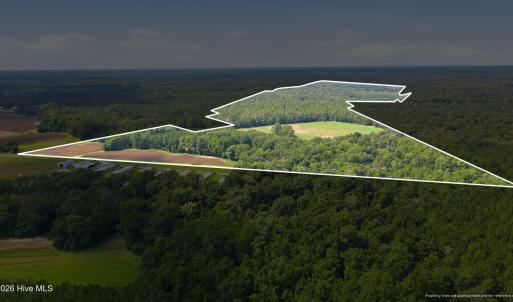 Photo #3 of 315 Heath, Trenton, NC 234.3 acres