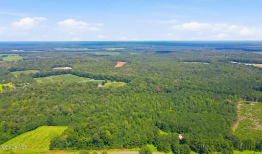 Photo #29 of 315 Heath, Trenton, NC 234.3 acres