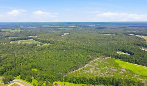 Photo #30 of 315 Heath, Trenton, NC 234.3 acres