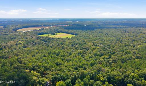 Photo #13 of 315 Heath, Trenton, NC 234.3 acres