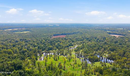 Photo #17 of 315 Heath, Trenton, NC 234.3 acres