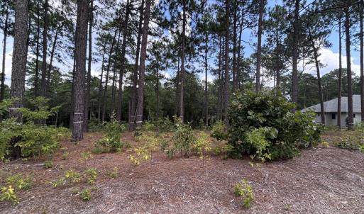 Photo #11 of 103 Haddington, Pinehurst, NC 1.2 acres