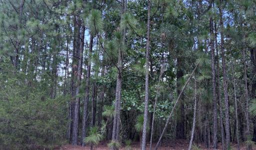 Photo #8 of 109 Haddington, Pinehurst, NC 1.6 acres