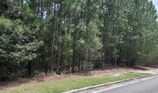 Photo #6 of 109 Haddington, Pinehurst, NC 1.6 acres