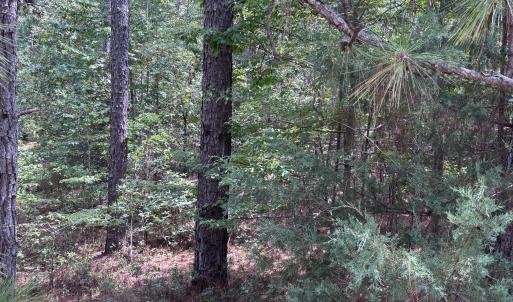 Photo #10 of 109 Haddington, Pinehurst, NC 1.6 acres