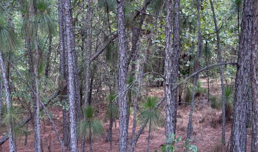 Photo #9 of 109 Haddington, Pinehurst, NC 1.6 acres