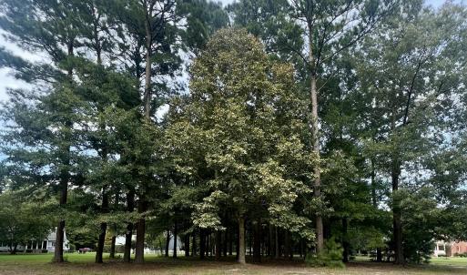 Photo #1 of 108 Nanthala, Hertford, NC 0.5 acres
