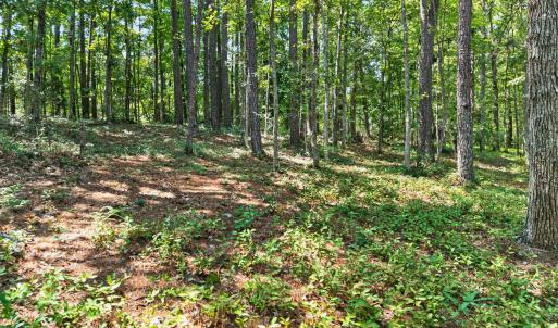 Photo #15 of 3075 Valderama, Bolivia, NC 0.5 acres