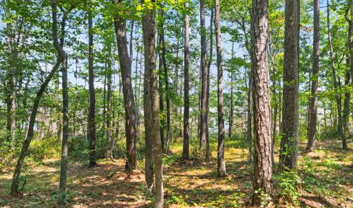 Photo #12 of 3075 Valderama, Bolivia, NC 0.5 acres