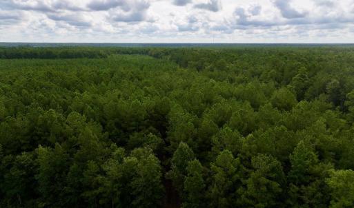 Photo #2 of Cupelo, Walstonburg, NC 9.6 acres