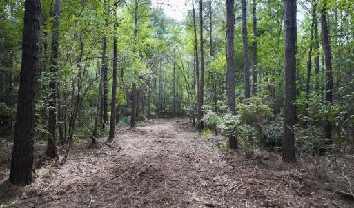 Photo #6 of Cupelo, Walstonburg, NC 9.6 acres