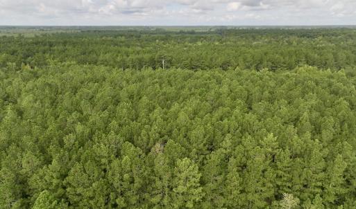 Photo #8 of Cupelo, Walstonburg, NC 9.6 acres