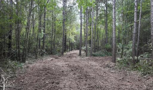 Photo #5 of Cupelo, Walstonburg, NC 9.6 acres