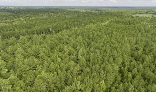 Photo #7 of Cupelo, Walstonburg, NC 9.6 acres