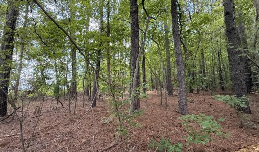 Photo #2 of Lot 2b Holland, Greenville, NC 10.9 acres