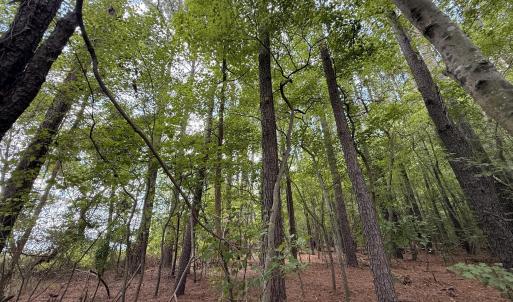 Photo #3 of Lot 2b Holland, Greenville, NC 10.9 acres