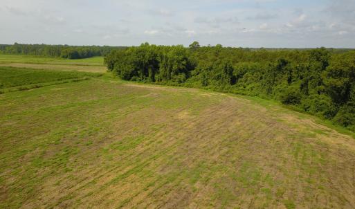 Photo #3 of 1 Nc 41, Wallace, NC 23.2 acres
