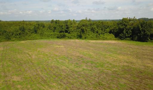 Photo #1 of 1 Nc 41, Wallace, NC 23.2 acres
