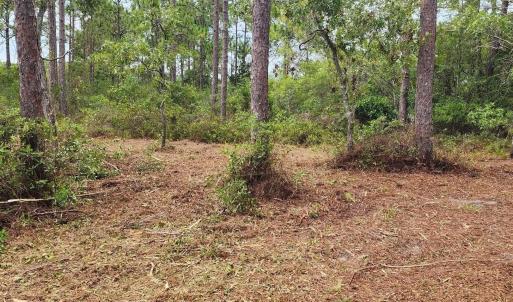 Photo #22 of 4 Pike, Boiling Spring Lakes, NC 1.1 acres