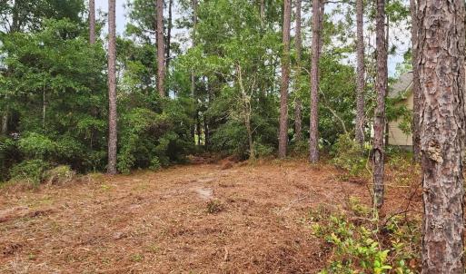 Photo #23 of 4 Pike, Boiling Spring Lakes, NC 1.1 acres