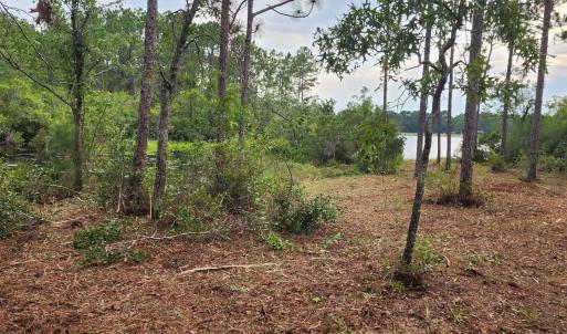 Photo #31 of 4 Pike, Boiling Spring Lakes, NC 1.1 acres