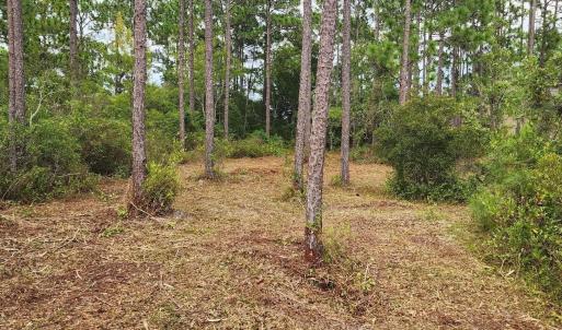 Photo #38 of 4 Pike, Boiling Spring Lakes, NC 1.1 acres