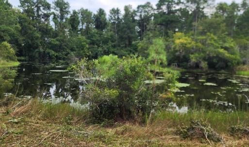 Photo #40 of 4 Pike, Boiling Spring Lakes, NC 1.1 acres