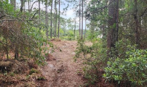 Photo #29 of 4 Pike, Boiling Spring Lakes, NC 1.1 acres