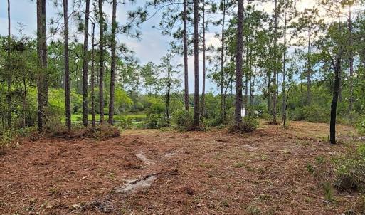 Photo #24 of 4 Pike, Boiling Spring Lakes, NC 1.1 acres