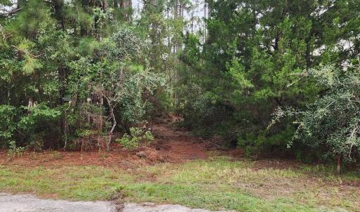 Photo #28 of 4 Pike, Boiling Spring Lakes, NC 1.1 acres