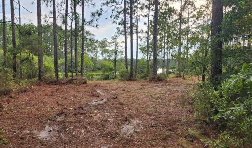 Photo #32 of 4 Pike, Boiling Spring Lakes, NC 1.1 acres