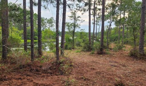 Photo #27 of 4 Pike, Boiling Spring Lakes, NC 1.1 acres