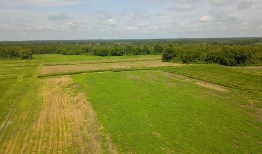 Photo #2 of 2 Nc 41, Wallace, NC 32.4 acres