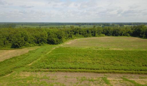 Photo #5 of 2 Nc 41, Wallace, NC 32.4 acres