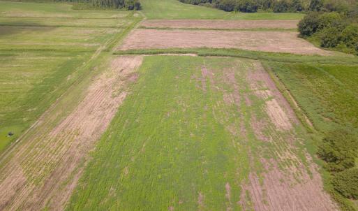 Photo #1 of 2 Nc 41, Wallace, NC 32.4 acres