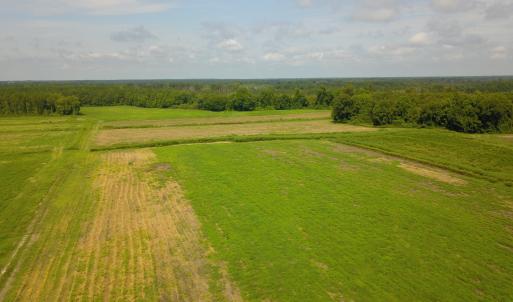 Photo #3 of 2 Nc 41, Wallace, NC 32.4 acres