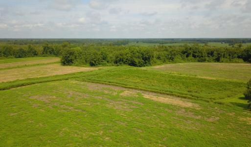 Photo #4 of 2 Nc 41, Wallace, NC 32.4 acres