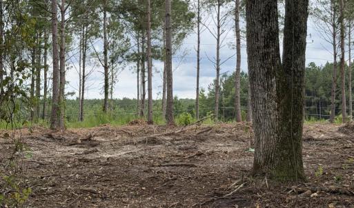 Photo #3 of Tbd/Lot 1 Elmore, Laurinburg, NC 1.0 acres
