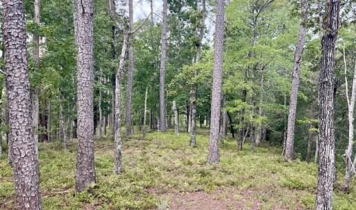 Photo #4 of 671 Plantation, Oriental, NC 1.9 acres