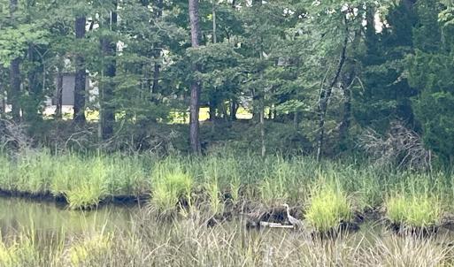 Photo #9 of 671 Plantation, Oriental, NC 1.9 acres