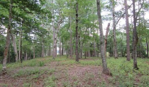 Photo #5 of 671 Plantation, Oriental, NC 1.9 acres