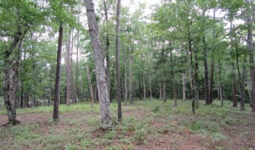 Photo #3 of 671 Plantation, Oriental, NC 1.9 acres