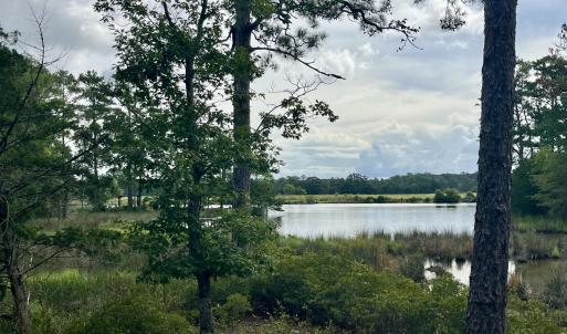 Photo #8 of 671 Plantation, Oriental, NC 1.9 acres