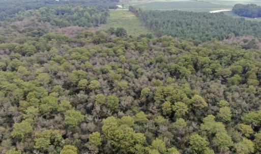 Photo #13 of Tbd Johns Mill, Maxton, NC 20.0 acres
