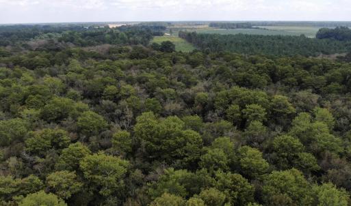 Photo #14 of Tbd Johns Mill, Maxton, NC 20.0 acres
