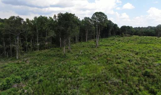 Photo #19 of Tbd Johns Mill, Maxton, NC 20.0 acres