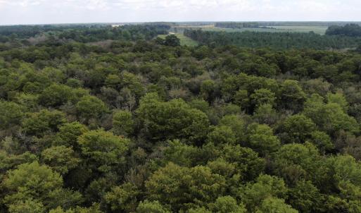 Photo #15 of Tbd Johns Mill, Maxton, NC 20.0 acres