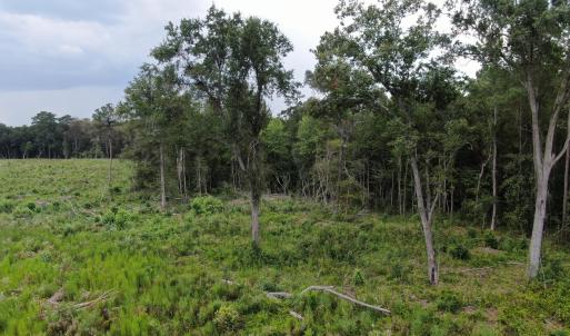 Photo #23 of Tbd Johns Mill, Maxton, NC 20.0 acres