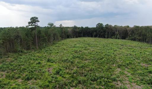 Photo #21 of Tbd Johns Mill, Maxton, NC 20.0 acres