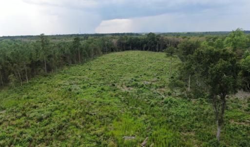 Photo #22 of Tbd Johns Mill, Maxton, NC 20.0 acres